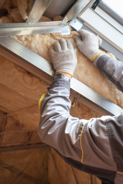 Types of Insulation We Offer in Placerville, CA